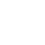 Employment Visas
