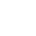 Immigration Services